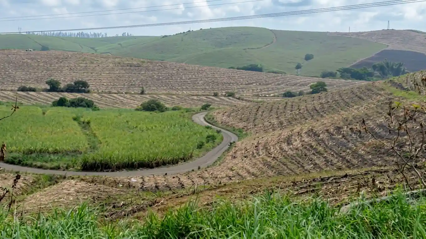 Sugar Industry Hails Signing of Master Plan Landscape
