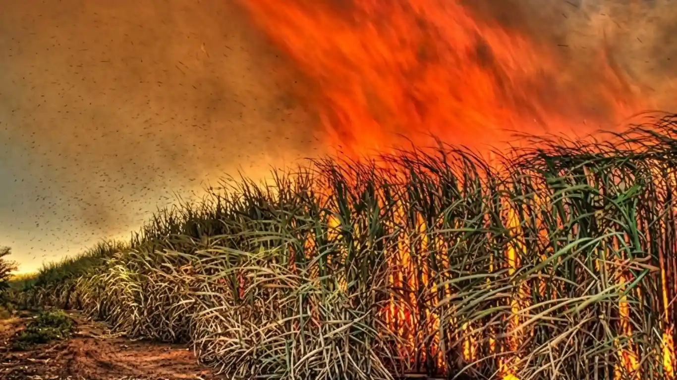 The Impact of the Civil Unrest Landscape
