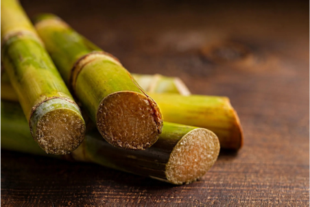 Healthy Sugarcane