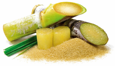 Sugarcane Sticks on a pile of sugar